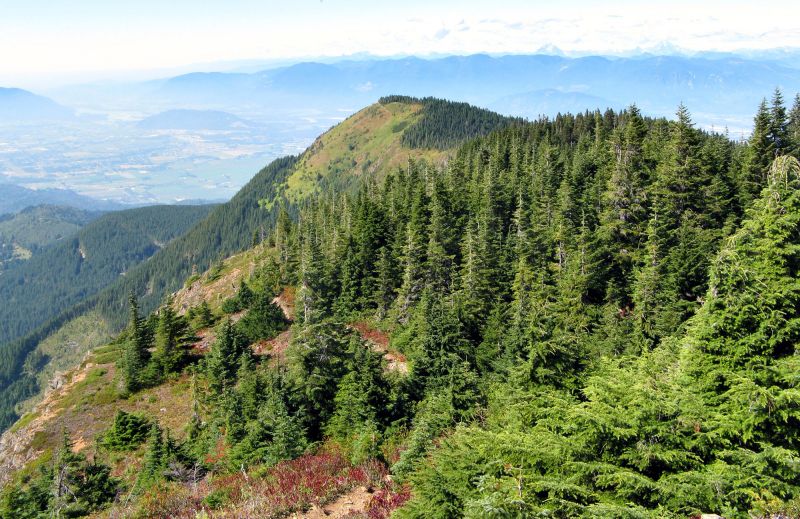 File:Elk Mountain.jpg