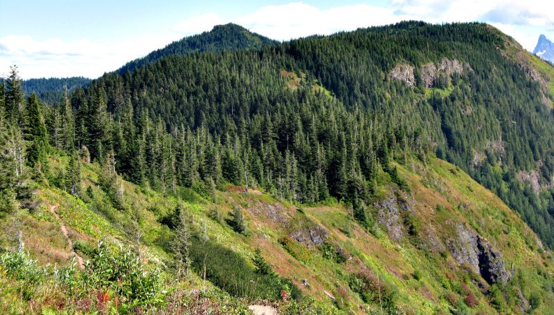 File:Mount Thurston.jpg