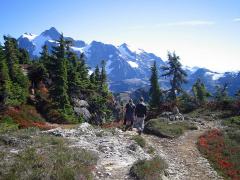 File:20251126034840!240px-TGivingMntBaker06 022.jpg