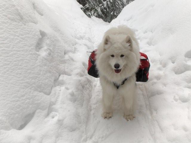 File:20251126034846!Jan 09 008.jpg