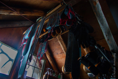 Skins hanging from the rafters, Adrian Armstrong (TR linked below), 2013